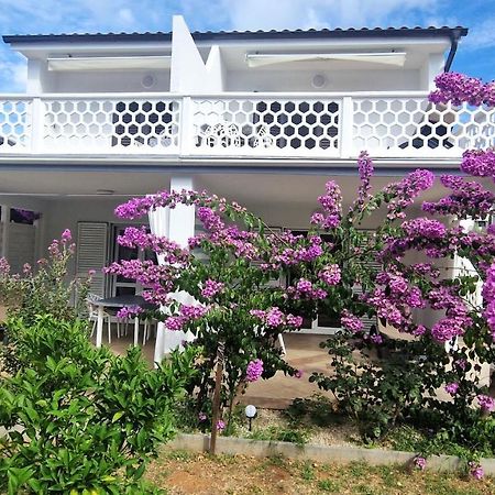 Garden Apartments 크르크 외부 사진
